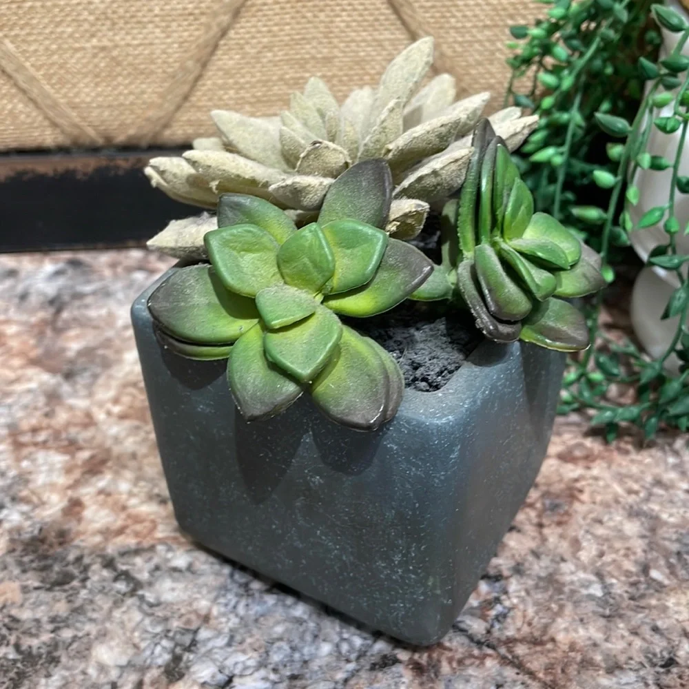 Faux succulents